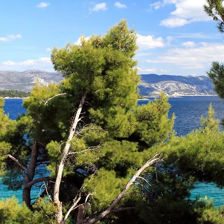 Daire By The Sea Lumbarda, Korcula - 9260 *